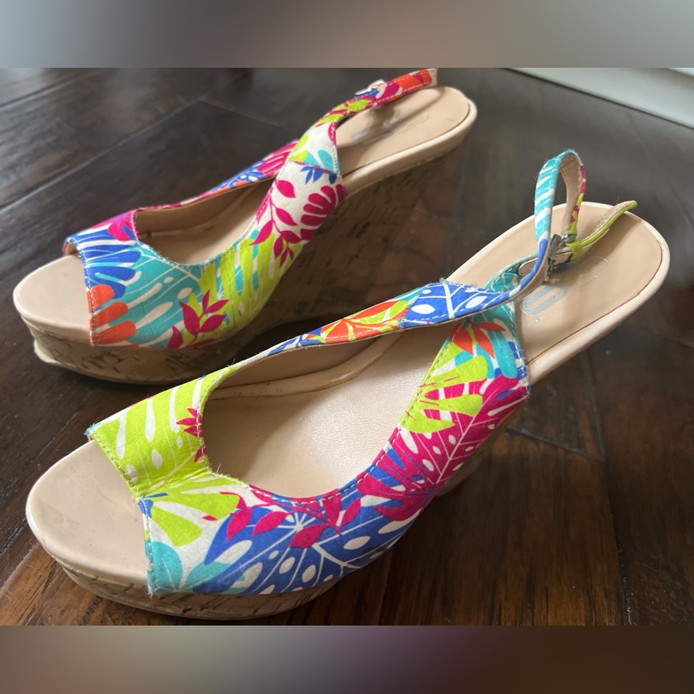 Colorful Wedges